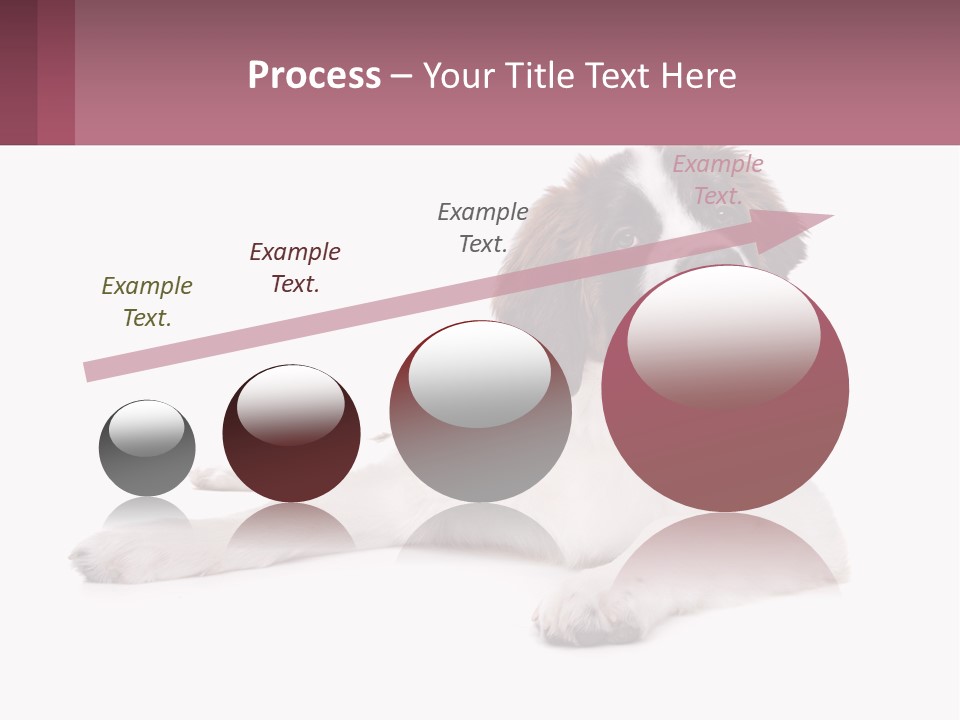 A Dog Laying Down With Its Tongue Out PowerPoint Template