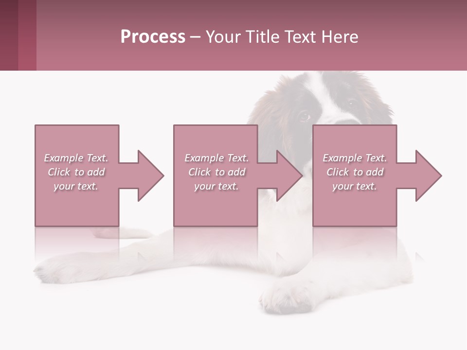 A Dog Laying Down With Its Tongue Out PowerPoint Template