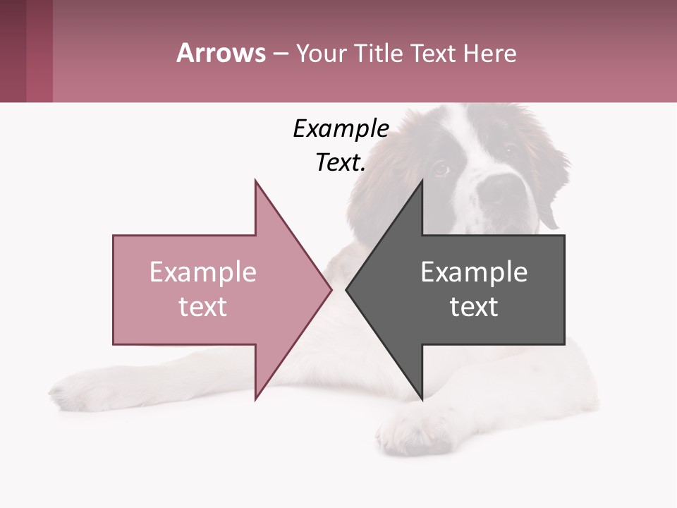 A Dog Laying Down With Its Tongue Out PowerPoint Template