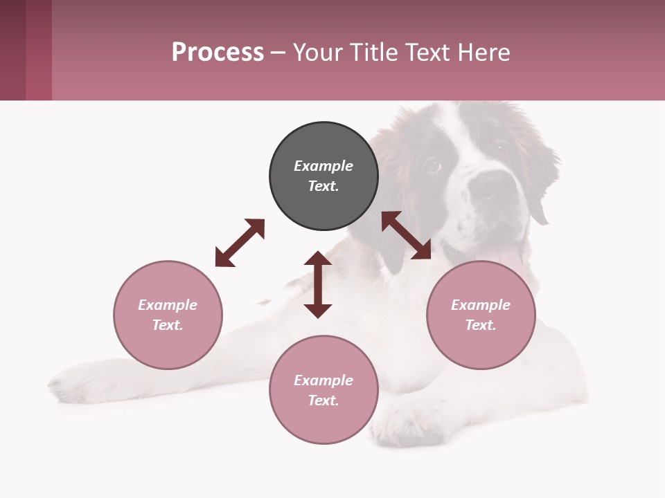 A Dog Laying Down With Its Tongue Out PowerPoint Template