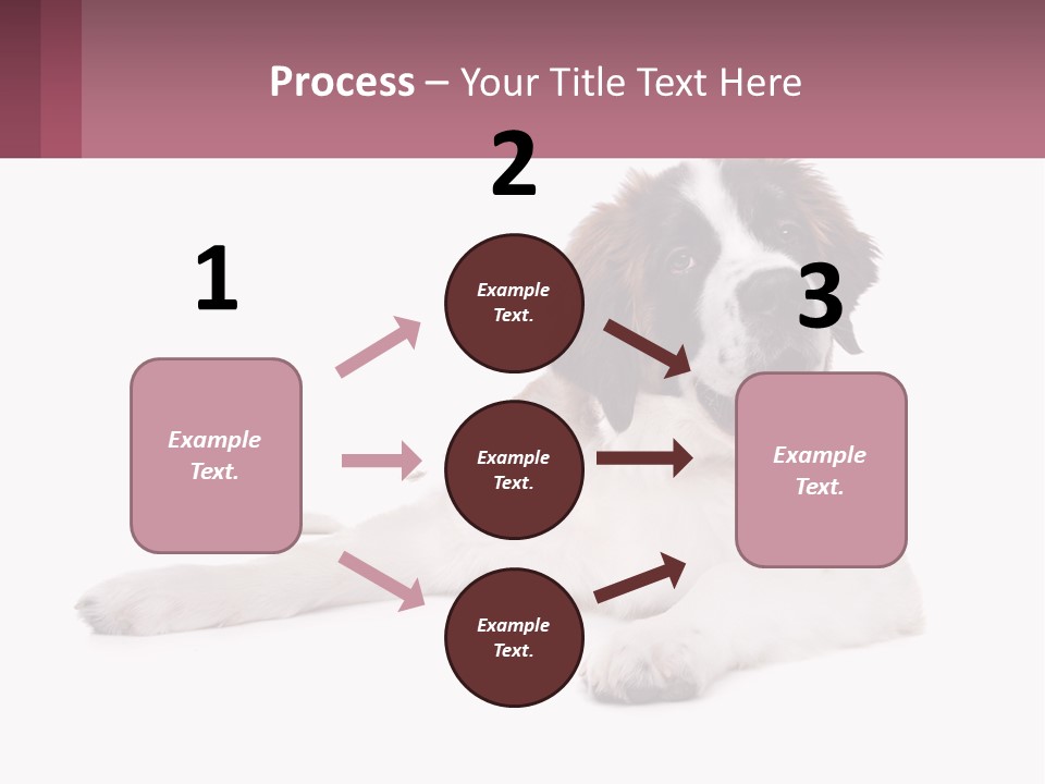 A Dog Laying Down With Its Tongue Out PowerPoint Template