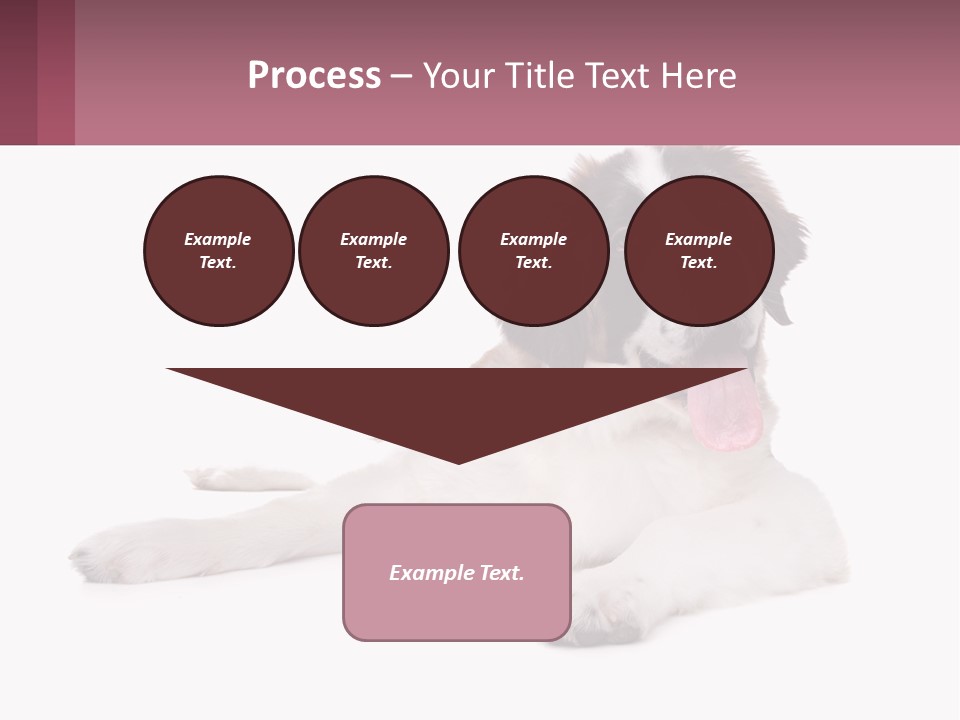 A Dog Laying Down With Its Tongue Out PowerPoint Template