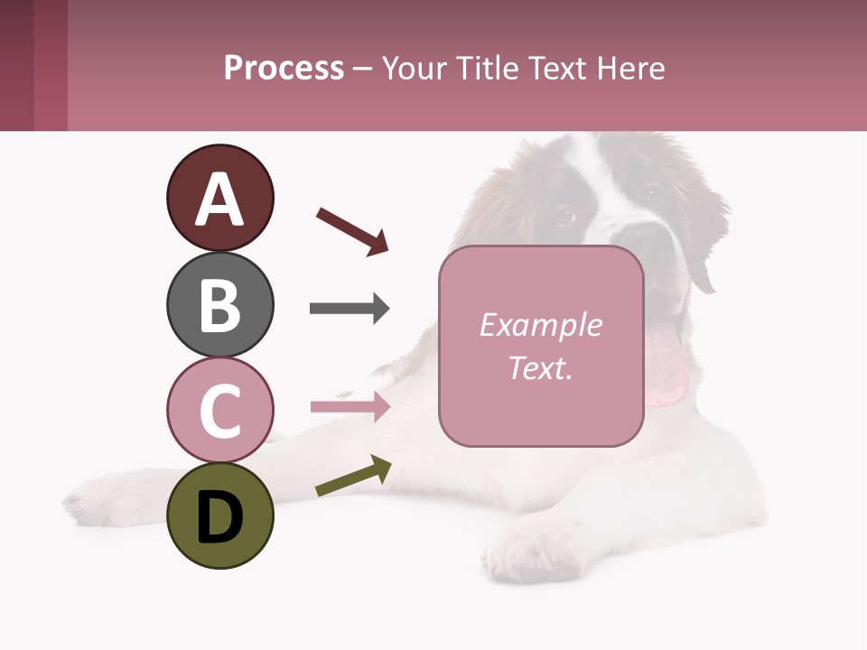 A Dog Laying Down With Its Tongue Out PowerPoint Template