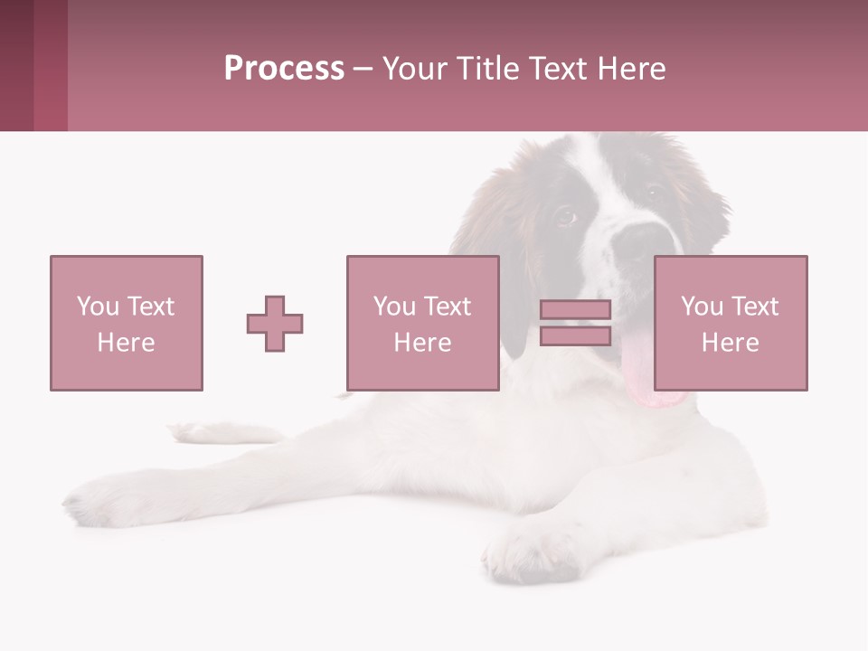 A Dog Laying Down With Its Tongue Out PowerPoint Template