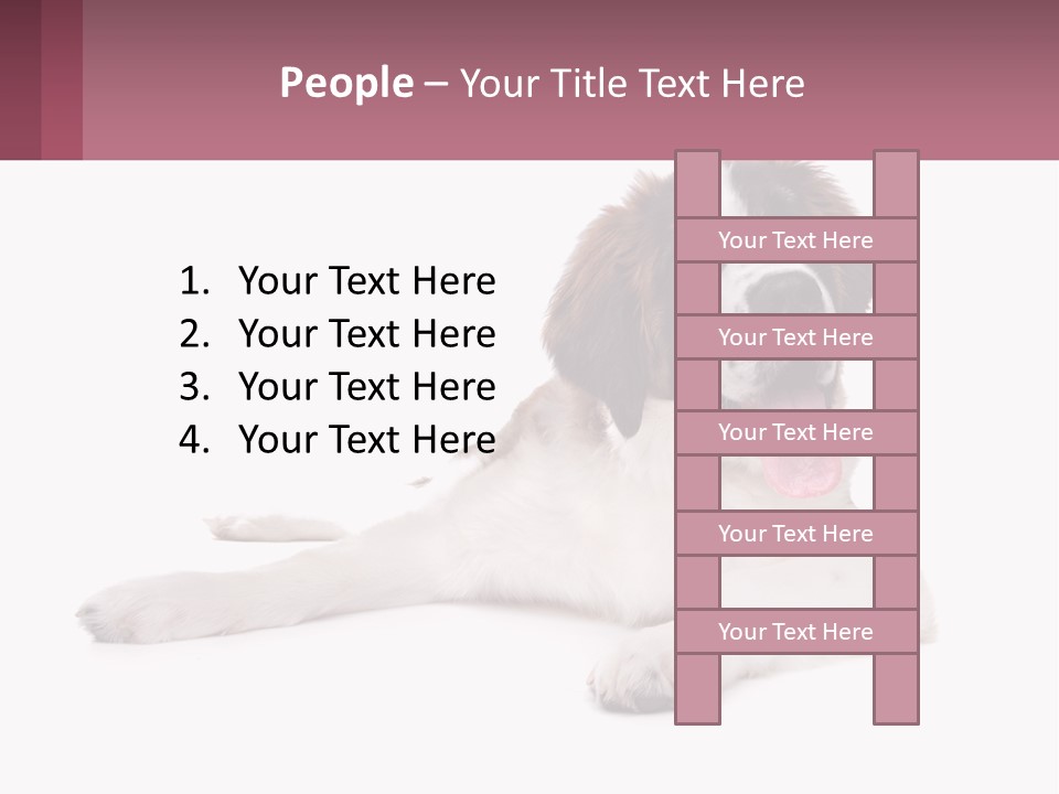 A Dog Laying Down With Its Tongue Out PowerPoint Template