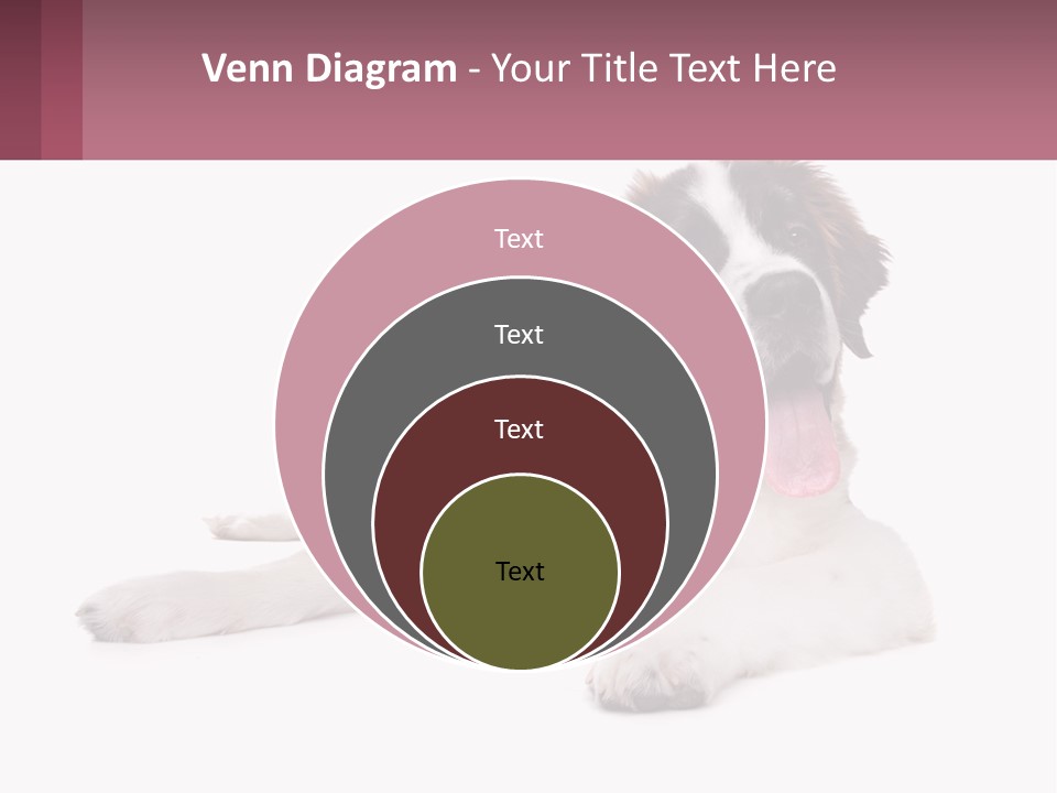 A Dog Laying Down With Its Tongue Out PowerPoint Template