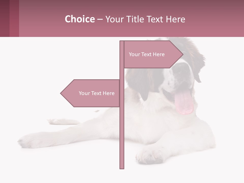 A Dog Laying Down With Its Tongue Out PowerPoint Template