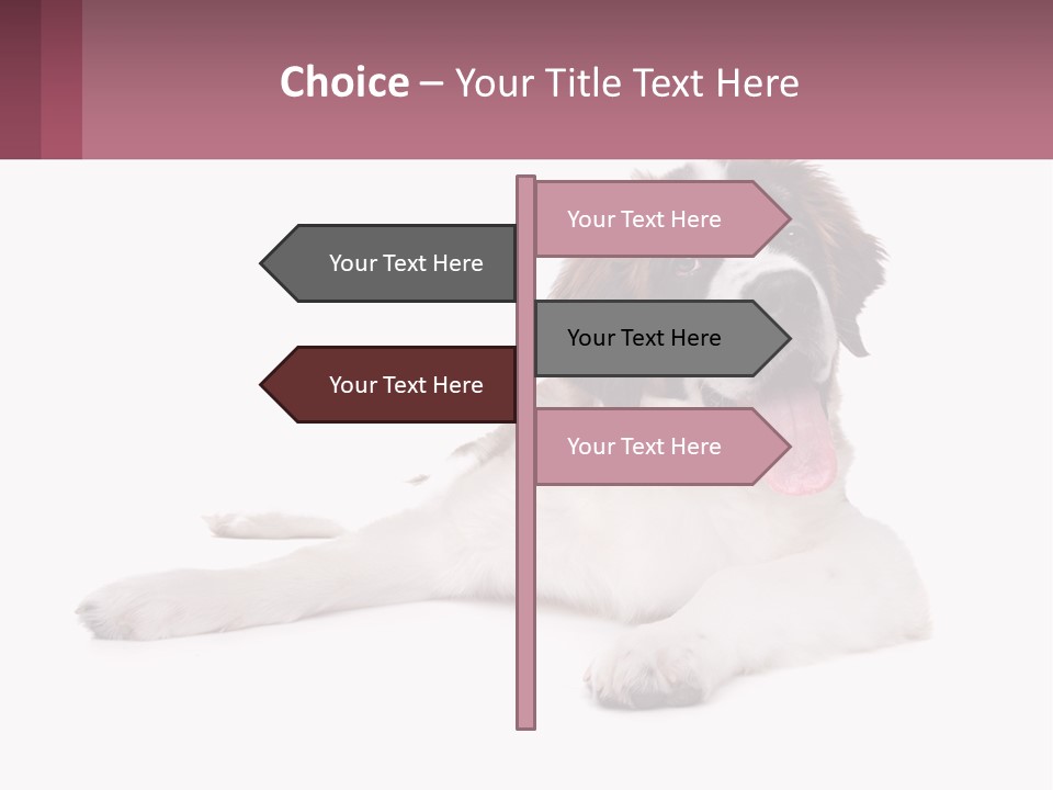 A Dog Laying Down With Its Tongue Out PowerPoint Template