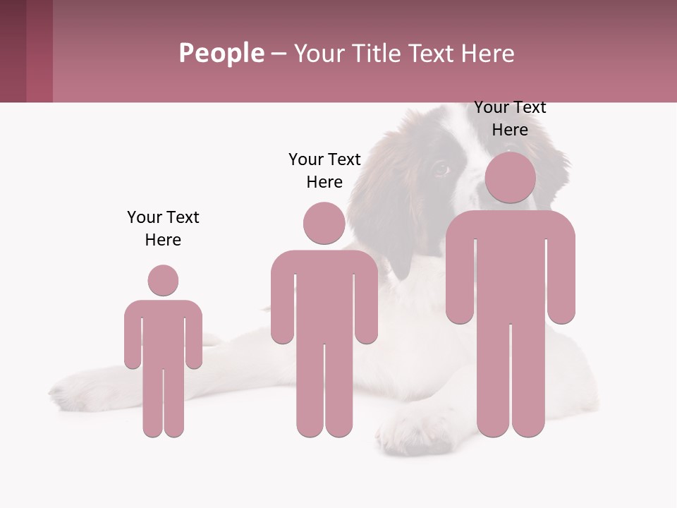 A Dog Laying Down With Its Tongue Out PowerPoint Template