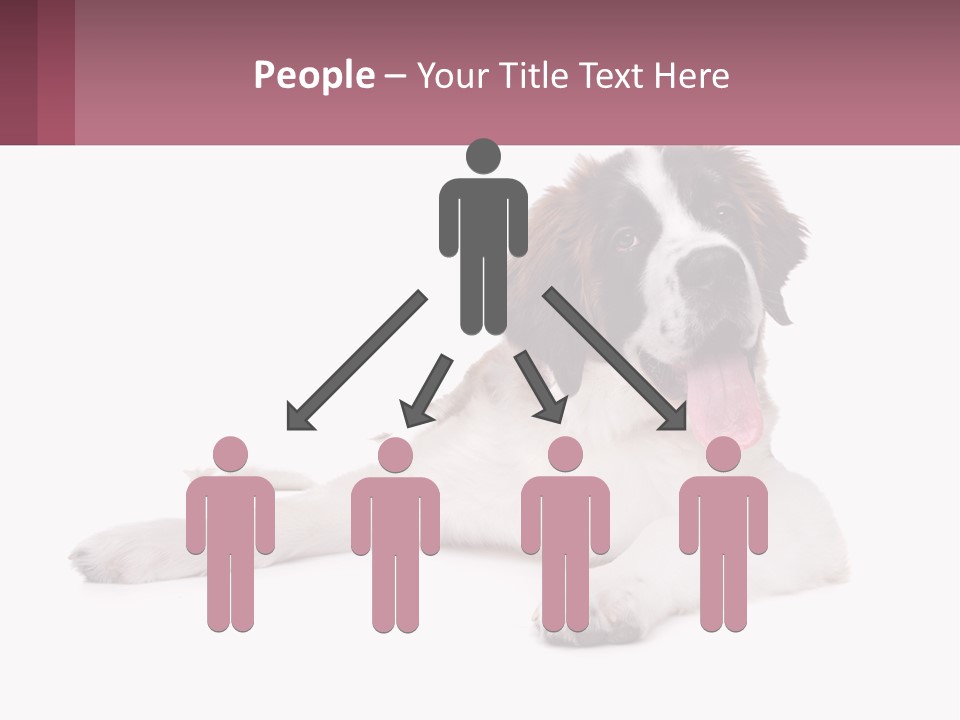 A Dog Laying Down With Its Tongue Out PowerPoint Template