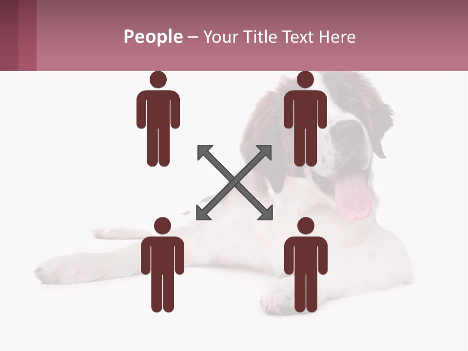 A Dog Laying Down With Its Tongue Out PowerPoint Template