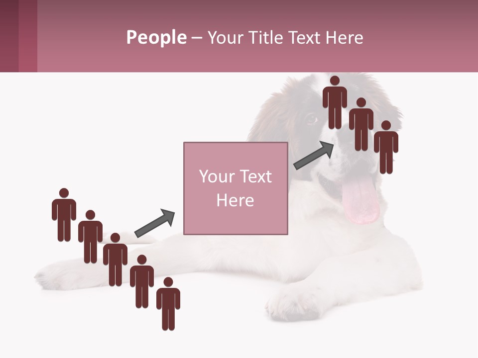 A Dog Laying Down With Its Tongue Out PowerPoint Template
