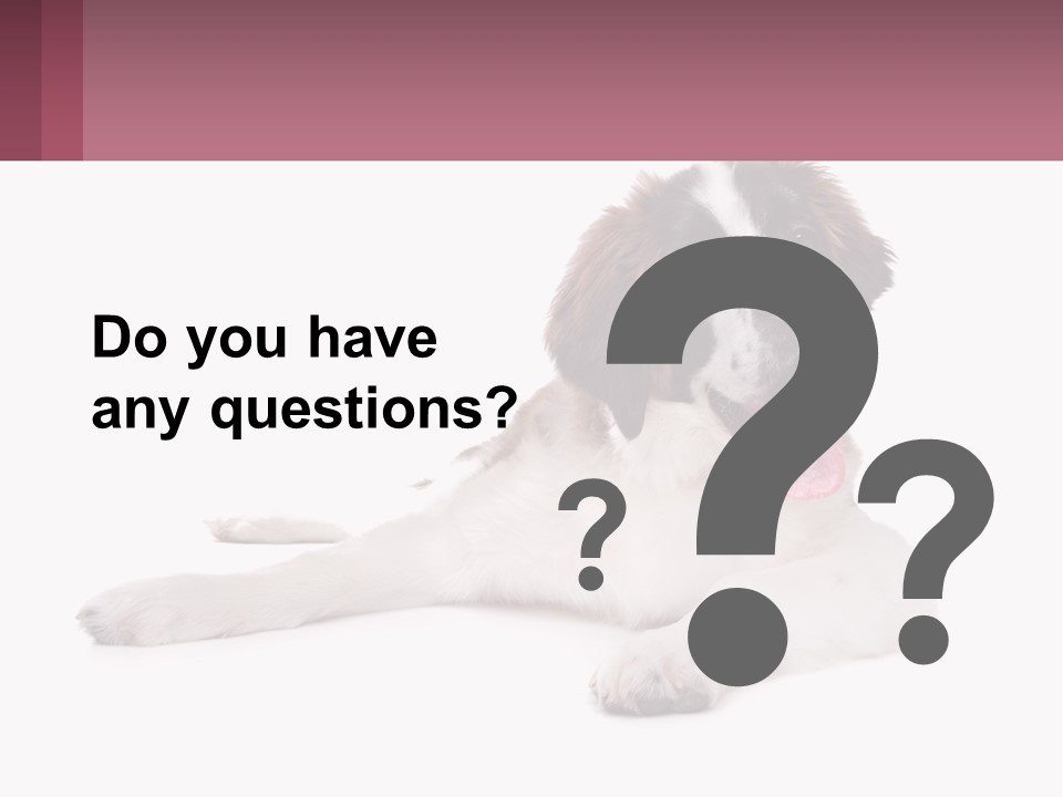 A Dog Laying Down With Its Tongue Out PowerPoint Template