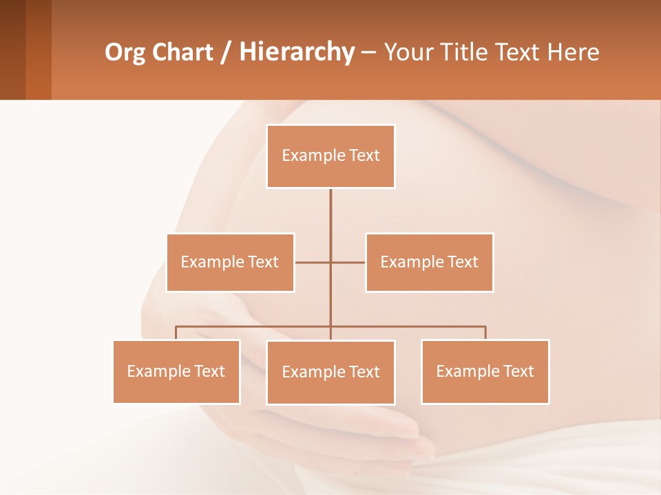 A Pregnant Woman Holding Her Belly In Her Hands PowerPoint Template