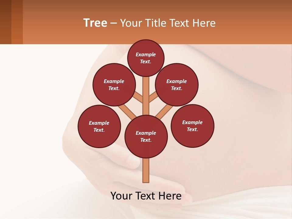 A Pregnant Woman Holding Her Belly In Her Hands PowerPoint Template
