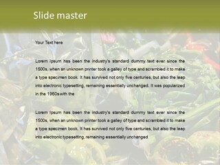 A Variety Of Vegetables Are Wrapped In Plastic PowerPoint Template