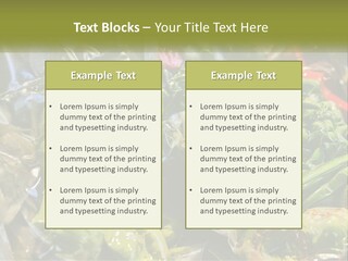 A Variety Of Vegetables Are Wrapped In Plastic PowerPoint Template