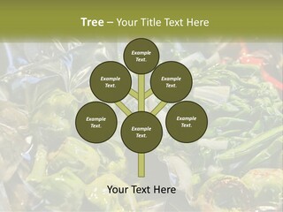 A Variety Of Vegetables Are Wrapped In Plastic PowerPoint Template