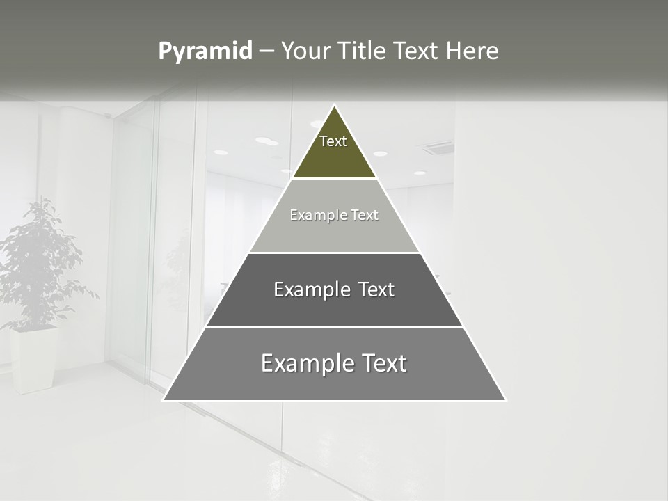 An Office With Glass Walls And A Plant In The Middle PowerPoint Template