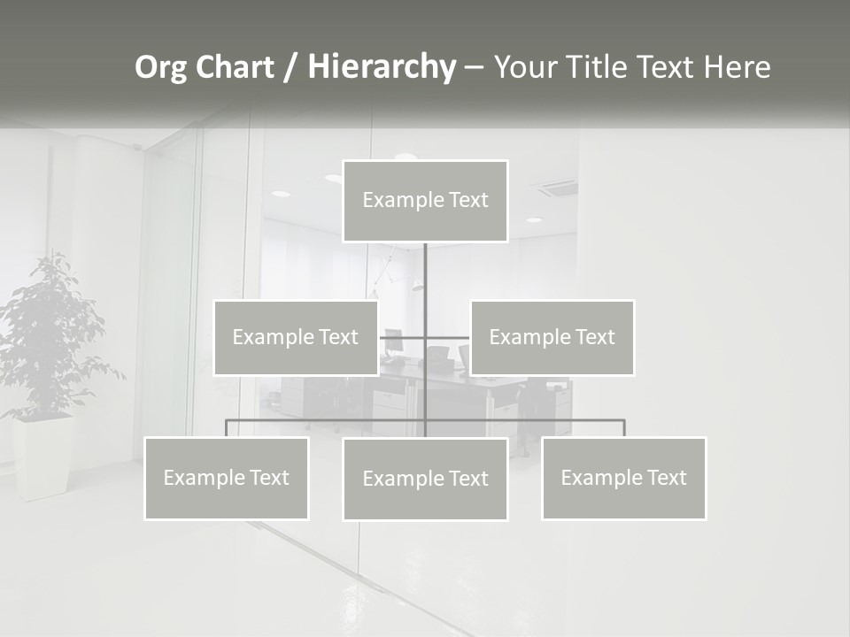 An Office With Glass Walls And A Plant In The Middle PowerPoint Template