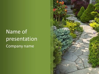 A Garden With Lots Of Plants And Rocks PowerPoint Template