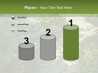 A Garden With Lots Of Plants And Rocks PowerPoint Template