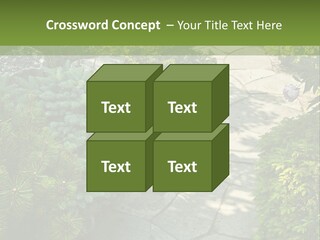 A Garden With Lots Of Plants And Rocks PowerPoint Template