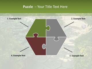 A Garden With Lots Of Plants And Rocks PowerPoint Template