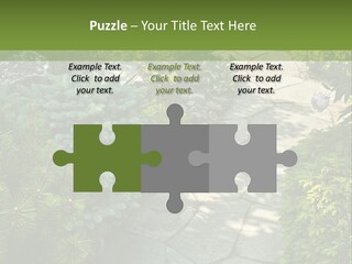 A Garden With Lots Of Plants And Rocks PowerPoint Template