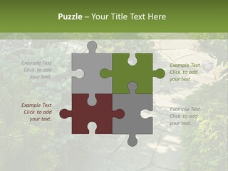 A Garden With Lots Of Plants And Rocks PowerPoint Template