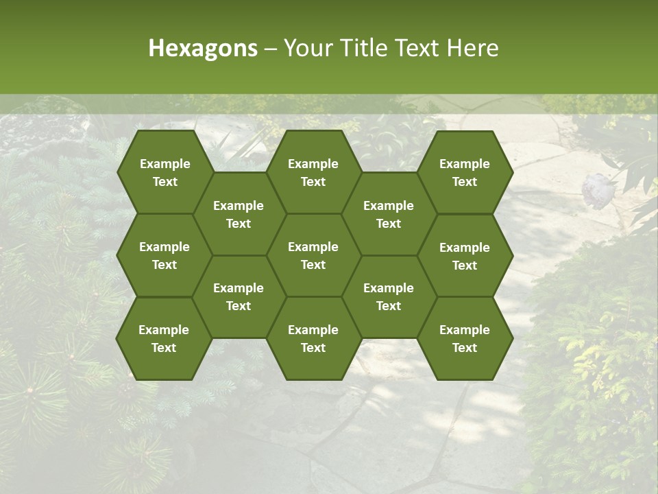 A Garden With Lots Of Plants And Rocks PowerPoint Template