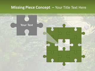 A Garden With Lots Of Plants And Rocks PowerPoint Template