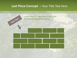 A Garden With Lots Of Plants And Rocks PowerPoint Template
