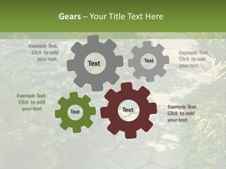 A Garden With Lots Of Plants And Rocks PowerPoint Template