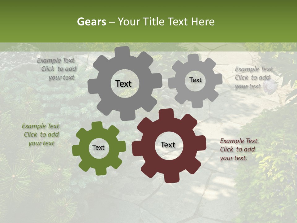 A Garden With Lots Of Plants And Rocks PowerPoint Template