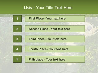 A Garden With Lots Of Plants And Rocks PowerPoint Template