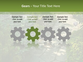 A Garden With Lots Of Plants And Rocks PowerPoint Template