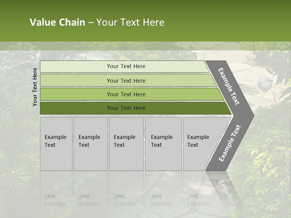 A Garden With Lots Of Plants And Rocks PowerPoint Template