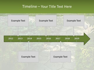 A Garden With Lots Of Plants And Rocks PowerPoint Template