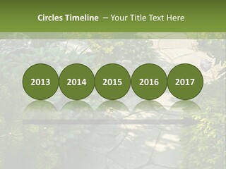 A Garden With Lots Of Plants And Rocks PowerPoint Template