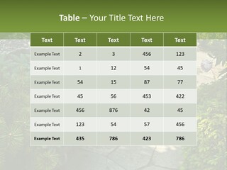 A Garden With Lots Of Plants And Rocks PowerPoint Template