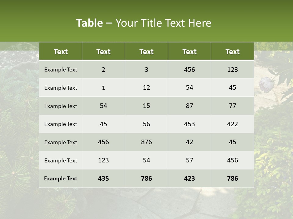 A Garden With Lots Of Plants And Rocks PowerPoint Template