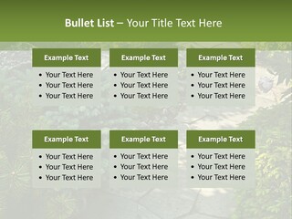 A Garden With Lots Of Plants And Rocks PowerPoint Template