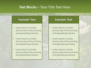 A Garden With Lots Of Plants And Rocks PowerPoint Template