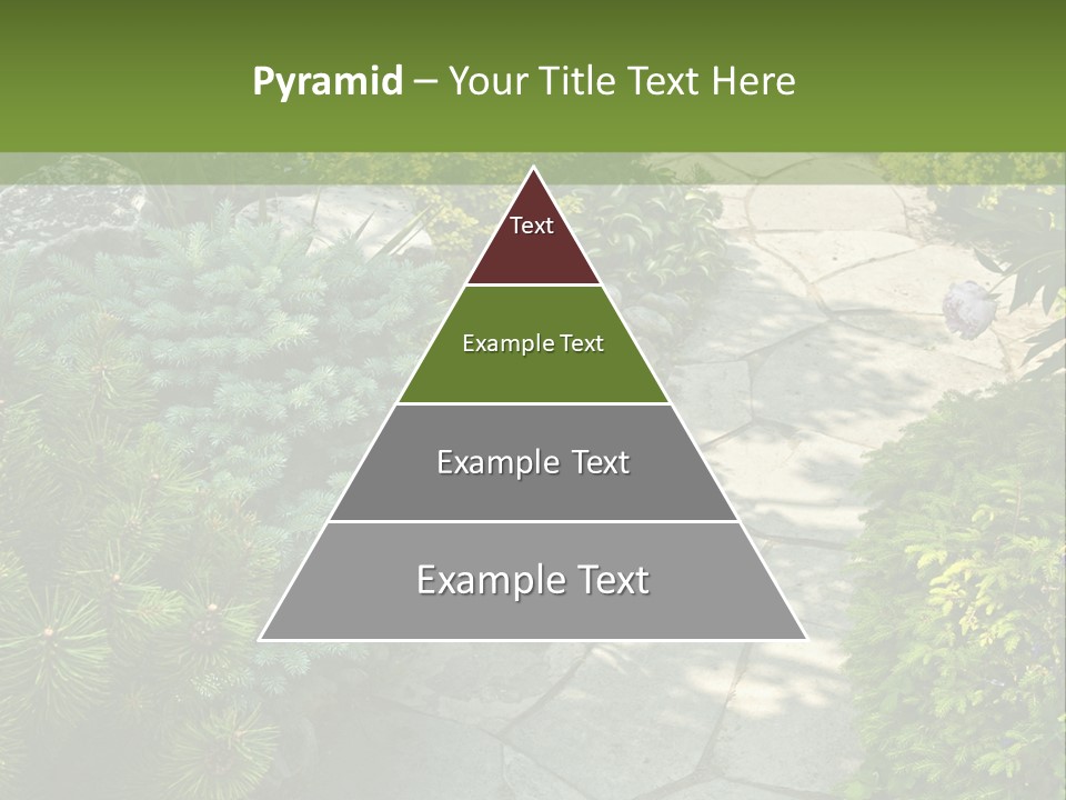 A Garden With Lots Of Plants And Rocks PowerPoint Template