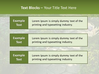 A Garden With Lots Of Plants And Rocks PowerPoint Template