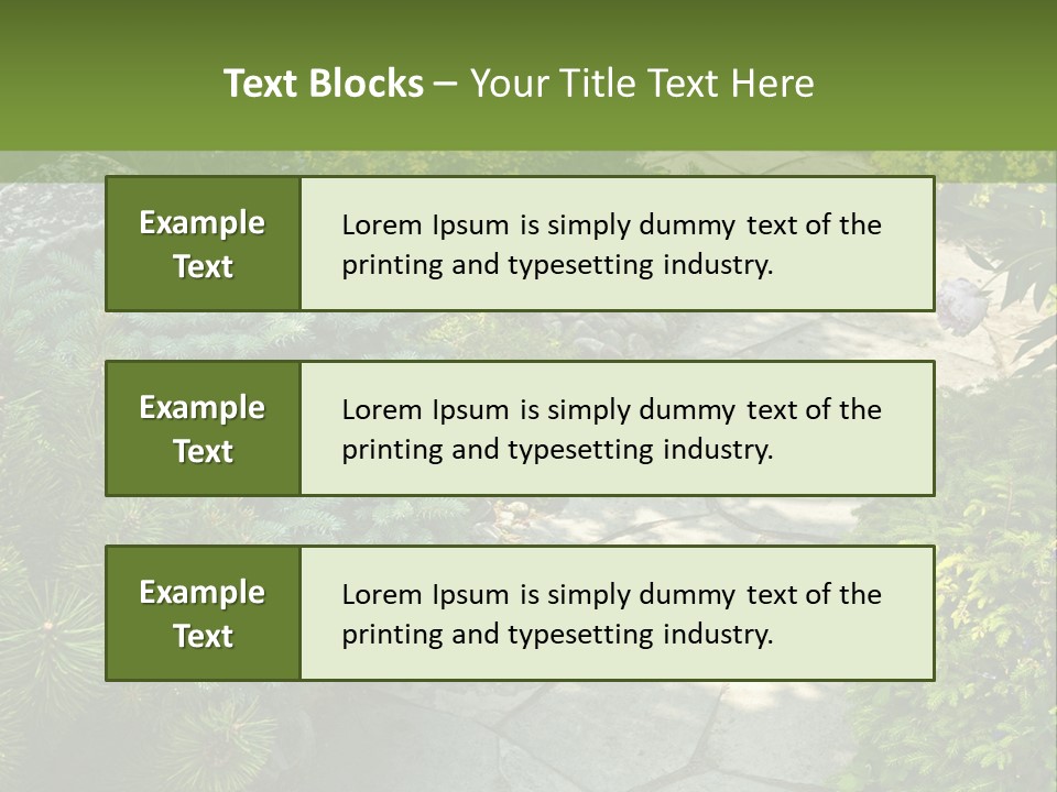 A Garden With Lots Of Plants And Rocks PowerPoint Template