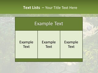 A Garden With Lots Of Plants And Rocks PowerPoint Template