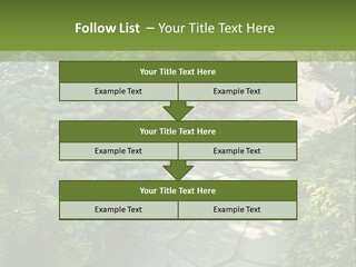 A Garden With Lots Of Plants And Rocks PowerPoint Template