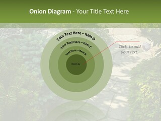 A Garden With Lots Of Plants And Rocks PowerPoint Template